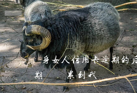 單身女人信用卡逾期的后果(女朋友信用卡逾期會連累到我嗎)