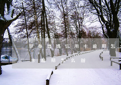 單身寶媽信用卡逾期怎么辦(2017年信用卡逾期怎么辦)
