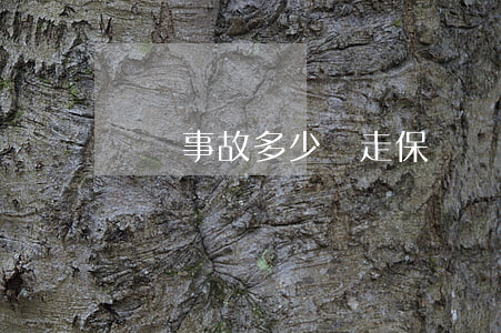 單車事故多少錢走保險(幾百塊事故走保險)