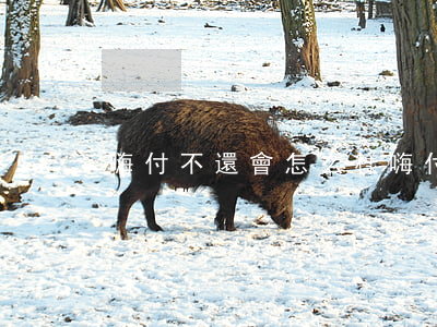嗨付不還會怎么樣（嗨付逾期多久起訴）