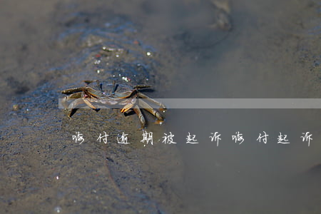 嗨付逾期被起诉(嗨付起诉还能协商还款吗)