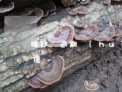 嗨秒貸逾期會(huì)怎么樣(嗨秒貸查征信嗎)