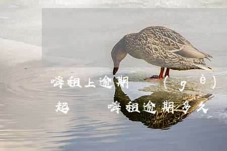 嗨租上逾期兩個(gè)月會(huì)被起訴嗎(嗨租逾期多久會(huì)上征信)