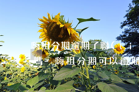 嗨租分期逾期了聯(lián)系家人違法嗎-嗨租分期可以逾期幾天