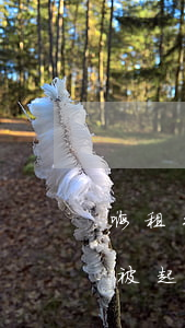 嗨租平臺(tái)逾期被起訴了（嗨付逾期被起訴凍結(jié)）