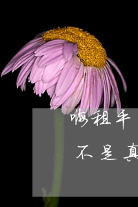 嗨租平臺(tái)逾期被起訴(嗨租起訴是不是真的)
