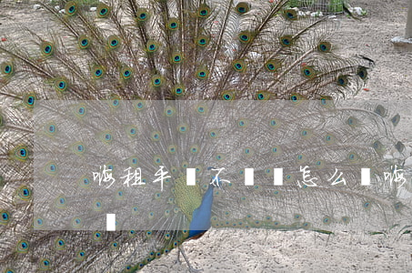嗨租平臺不還會怎么樣(嗨租平臺不還會怎么樣)
