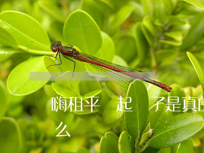 嗨租平臺起訴了是真的嗎(嗨租平臺不還會怎么樣)