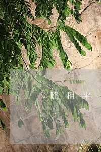 嗨租平臺起訴了是真的嗎(嗨租起訴案例)