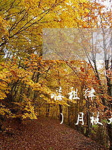 嗨租律師函是真的假的(嗨租逾期三個(gè)月被起訴了)