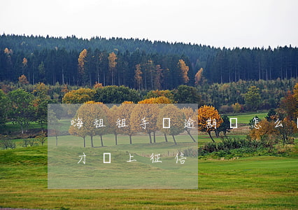 嗨租租手機逾期會怎么樣(嗨租手機逾期多久才會上征信)