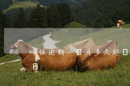 嗨租逾期一個月多久起訴(嗨租平臺起訴了咋辦)