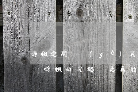 嗨租逾期兩個(gè)月會(huì)起訴嗎(嗨租公司起訴是真的起訴嗎)