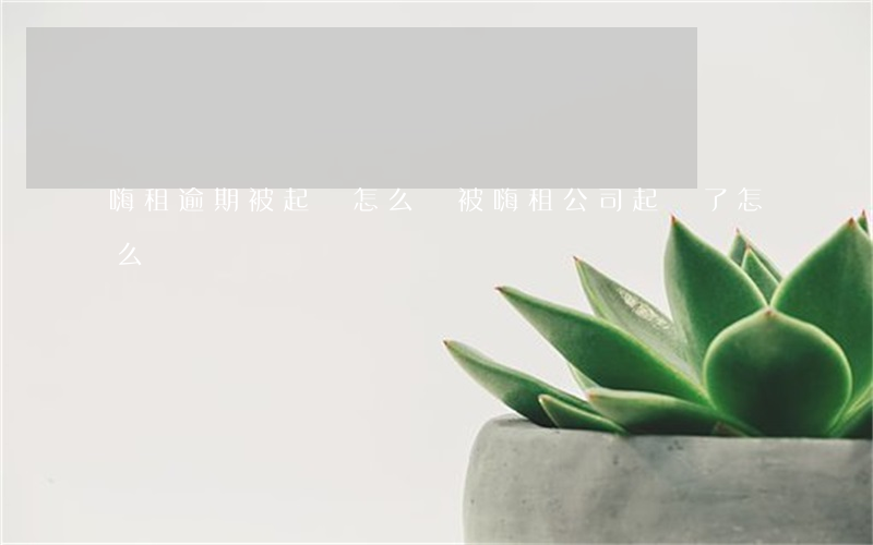 嗨租逾期被起訴怎么辦(被嗨租公司起訴了怎么辦)