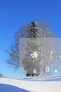 嗨錢(qián)逾期不還款后果(嗨錢(qián)網(wǎng)一年沒(méi)還了)