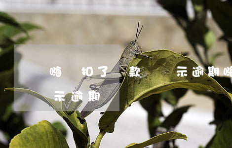 嗨錢扣了還款還顯示逾期(嗨錢扣了還款還顯示逾期)