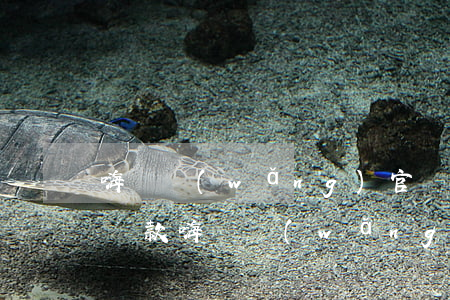 嗨錢網(wǎng)官網(wǎng)登錄還款 嗨錢網(wǎng)客服