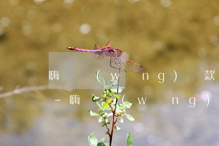 嗨錢網(wǎng)還款官網(wǎng)-嗨錢網(wǎng)還款官網(wǎng)