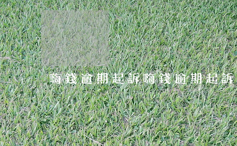 嗨錢逾期起訴(嗨錢逾期起訴)