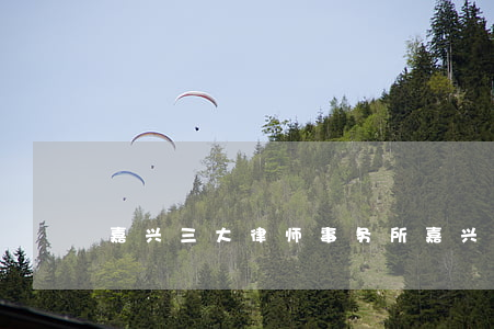 嘉兴三大律师事务所(嘉兴市最好的律师)