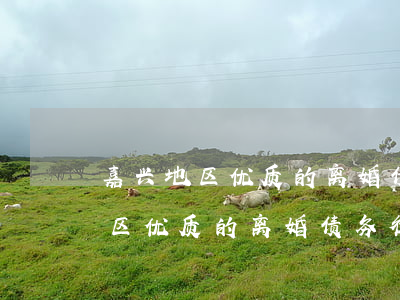 嘉兴地区优质的离婚债务律师排行-嘉兴地区优质的离婚债务律师排行第几
