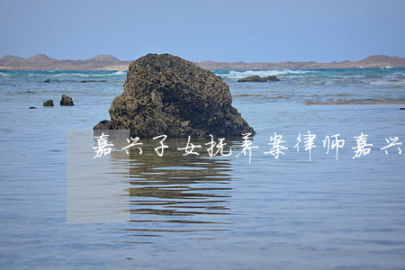嘉兴子女抚养案律师(嘉兴子女抚养案律师)