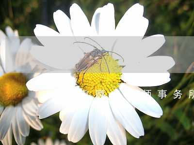 嘉兴有哪些律师事务所(嘉兴市最好的律师)