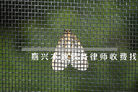 嘉兴本地债务律师收费 找嘉兴律师