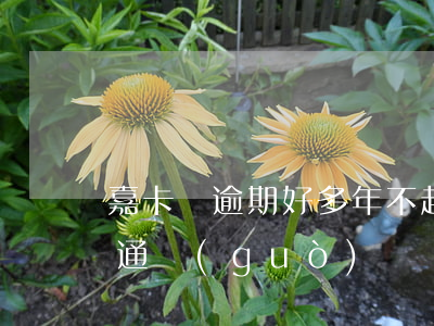嘉卡貸逾期好多年不起訴是為什么(嘉卡貸好通過(guò)嗎)