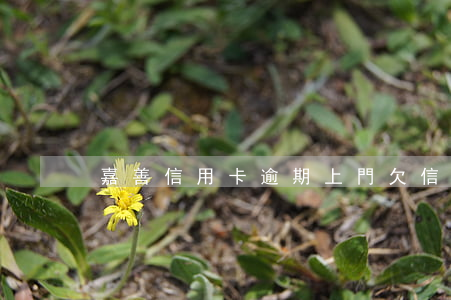 嘉善信用卡逾期上門(欠信用卡上門)