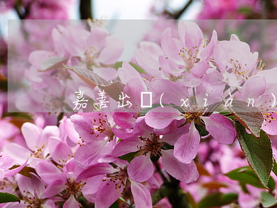 嘉善出現(xiàn)交通事故