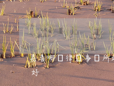 嘉善哪個律師事務所好(嘉定哪家律師事務所好)