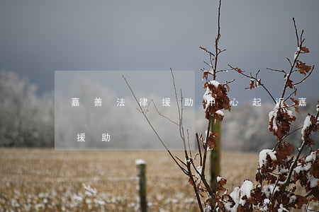 嘉善法律援助中心 起诉(嘉善哪里有律师法律援助)