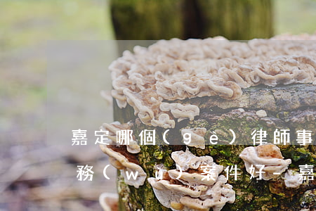 嘉定哪個(gè)律師事務(wù)所打債務(wù)案件好-嘉定哪個(gè)律師事務(wù)所打債務(wù)案件好一點(diǎn)