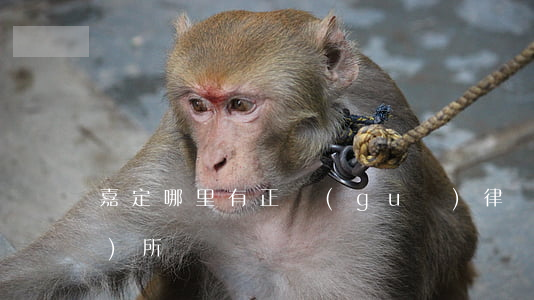 嘉定哪里有正規(guī)律師事務(wù)所
