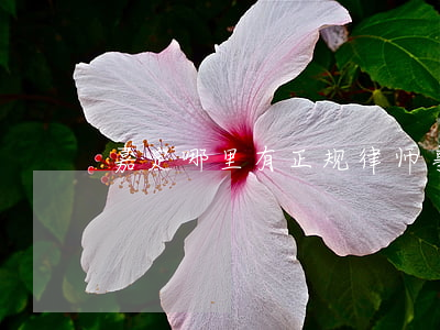 嘉定哪里有正规律师事务所