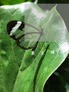嘉定律师事务所在哪里