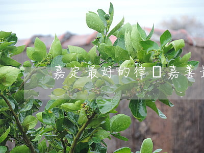 嘉定最好的律師(嘉善最有名的律師)