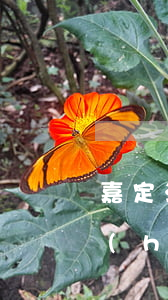 嘉定法律援助中心怎樣(永嘉法律援助中心號(hào)碼)