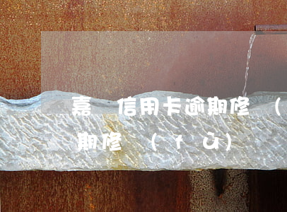 嘉興信用卡逾期修復(fù)(嘉興信用卡逾期修復(fù))