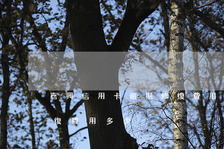 嘉興信用卡逾期修復費用(嘉興信用卡逾期修復費用多少)