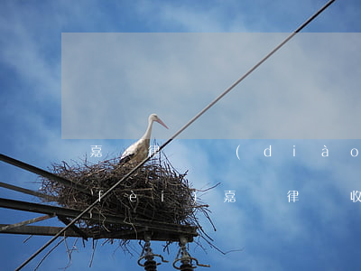 嘉興律師調(diào)節(jié)費(fèi)(嘉興律師收費(fèi)標(biāo)準(zhǔn))