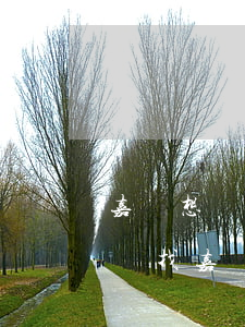 嘉興想請債權(quán)債務(wù)律師(找嘉興律師)