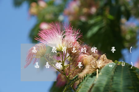 嘉興最有名的律師事務(wù)所(浙江嘉興嘉善律師事務(wù)所排行榜)