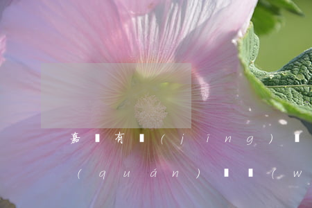 嘉興有經(jīng)驗(yàn)的債權(quán)債務(wù)律師事務(wù)所-嘉興有經(jīng)驗(yàn)的債權(quán)債務(wù)律師事務(wù)所有哪些
