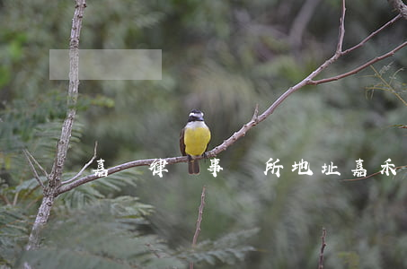 嘉華律師事務所地址(嘉禾律師事務所在哪啊)
