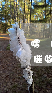 嘿網(wǎng)貸真的會(huì)上門催收嗎