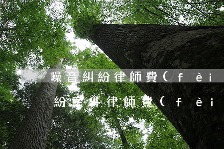 噪音糾紛律師費(fèi)用是多少(一般糾紛案件律師費(fèi)多少)