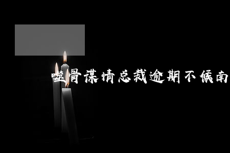 噬骨谋情总裁逾期不候南音