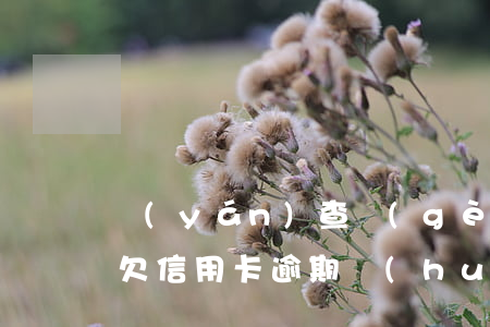 嚴(yán)查個(gè)人信用卡逾期-欠信用卡逾期會(huì)被公安局抓嗎